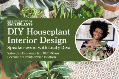 DIY Interior Plant Design