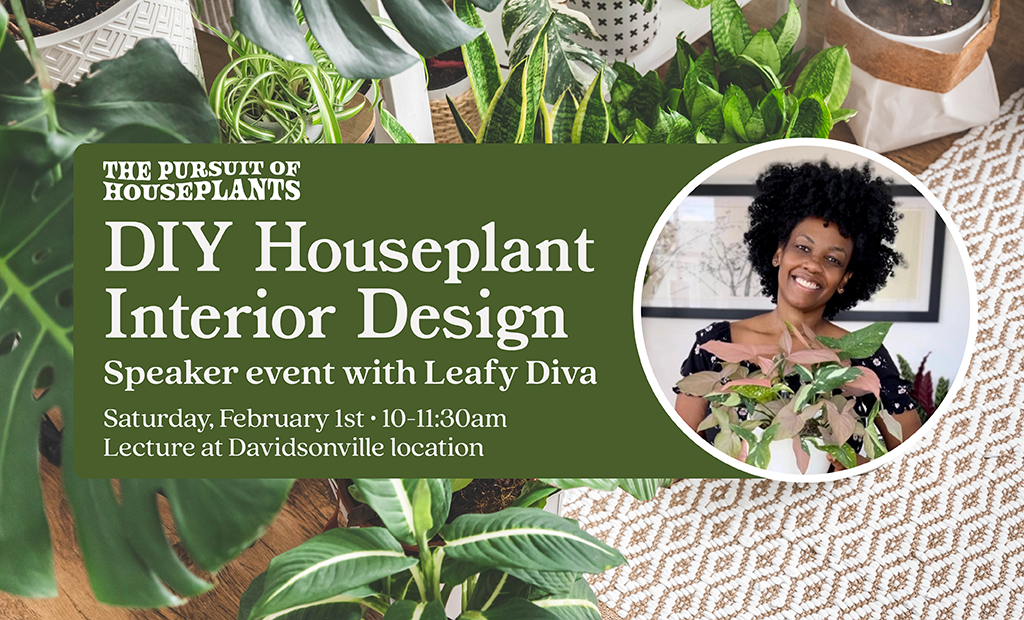 DIY Interior Plant Design