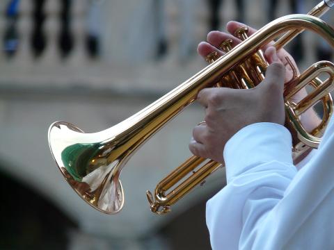 USNA Band Instrument Petting Zoo