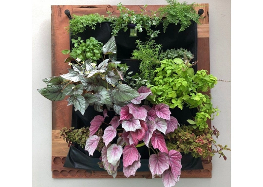 Wall Planter: Houseplant Workshop