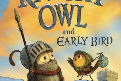 Storytime & Craft: Knight Owl and Early Bird