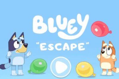 Bluey Escape Room