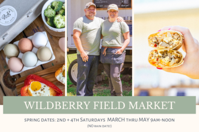 Spring Field Market at Wildberry