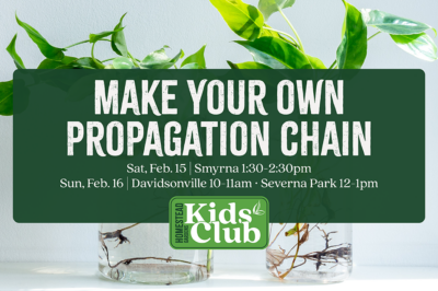 Make Your Own Propagation Chain