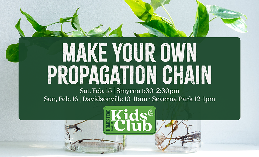 Make Your Own Propagation Chain