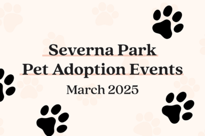 Pet Adoption Event