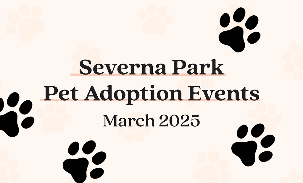 Pet Adoption Event