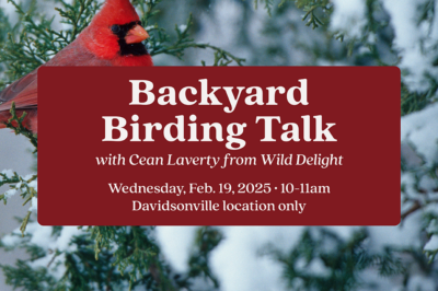 Backyard Birding Talk