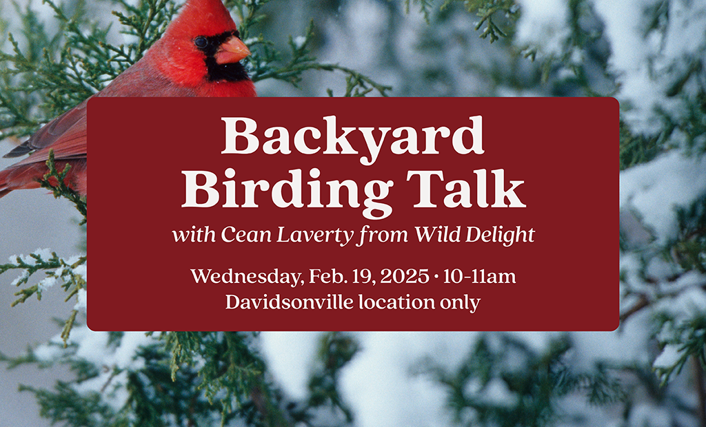 Backyard Birding Talk