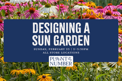 Design a Sun Garden