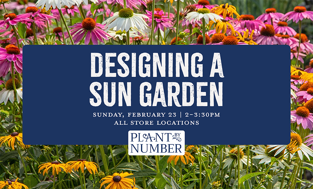 Design a Sun Garden