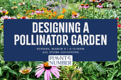 Design a Pollinator Garden