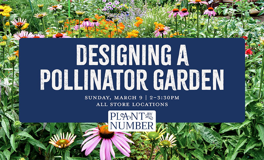 Design a Pollinator Garden