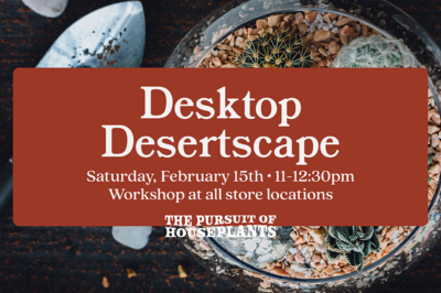 Desktop Desertscape Workshop