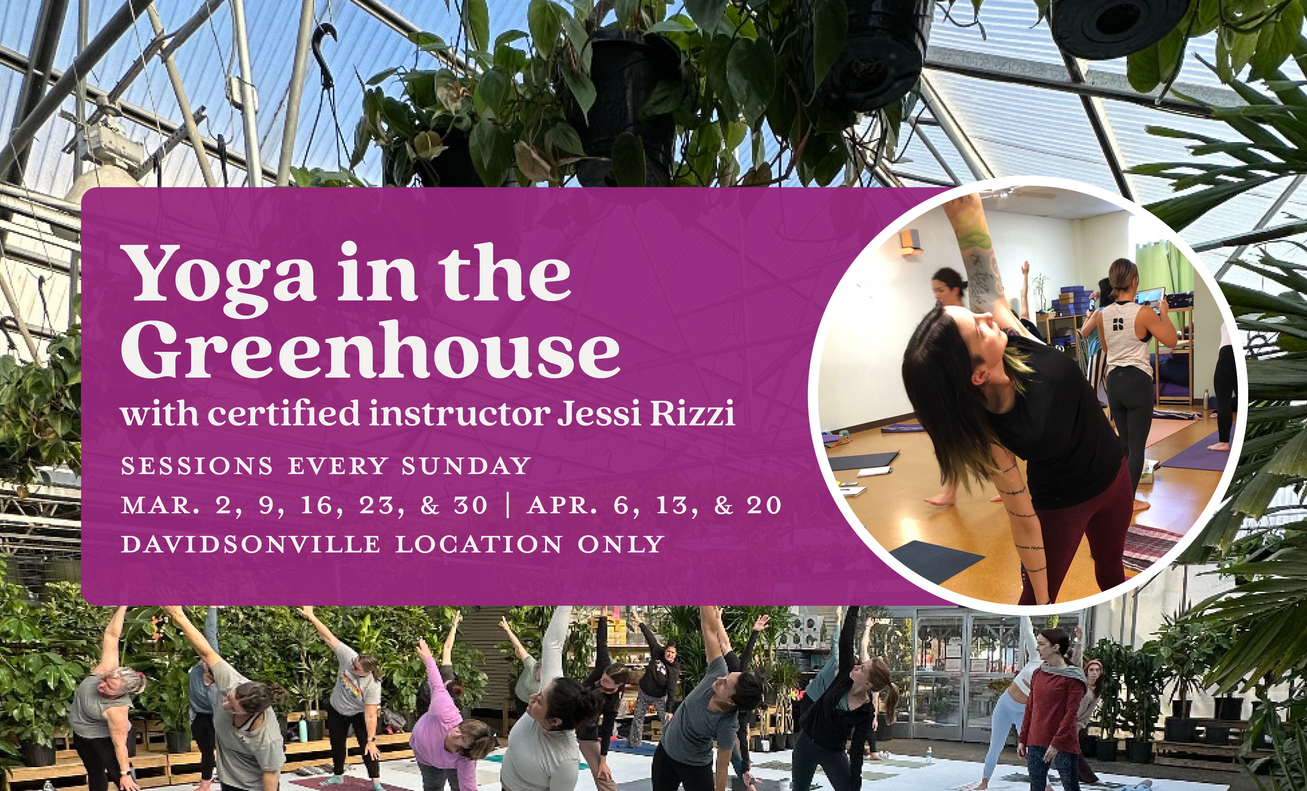 Yoga in the Greenhouse