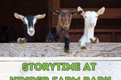 Storytime at Kinder Farm Park