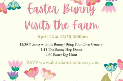 Easter Bunny Visits the Farm