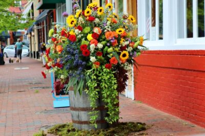 May Day in Annapolis
