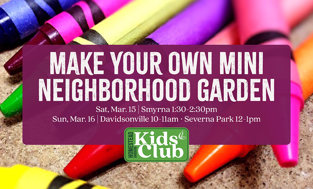 Make Your Own Mini Neighborhood Garden