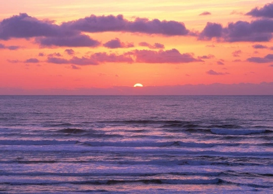 Sunset Serenity: Beginner Watercolor Workshop