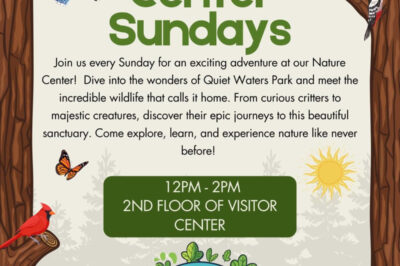 Nature Center Sundays