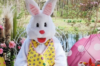 Willow Oak Farm's Easter Egg Hunt
