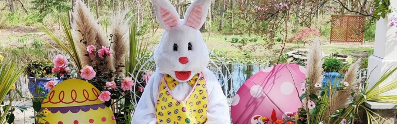 Willow Oak Farm's Easter Egg Hunt
