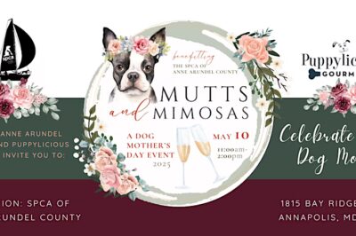 Mutts & Mimosas