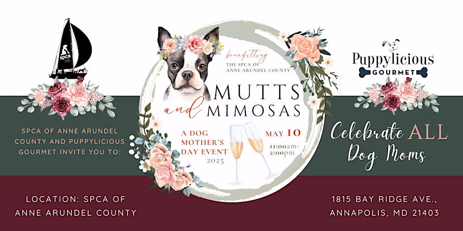 Mutts & Mimosas