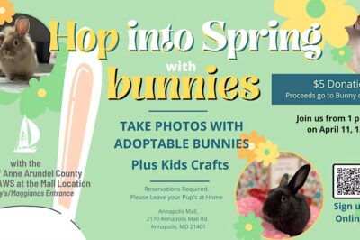 Hop Into Spring with Bunny Photos