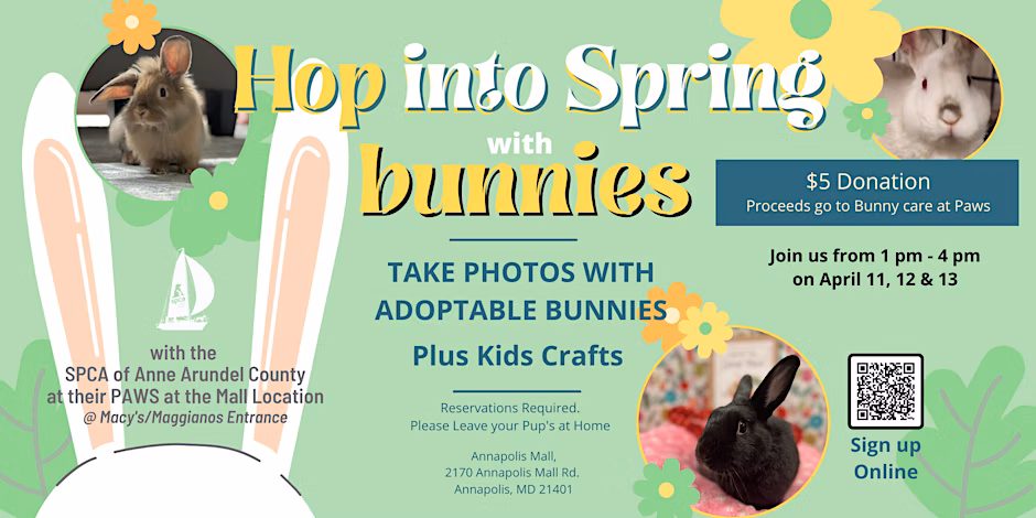 Hop Into Spring with Bunny Photos