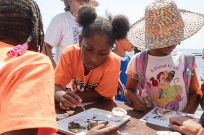 Chesapeake Eco Cruise