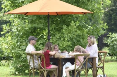 Father's Day at the Farm