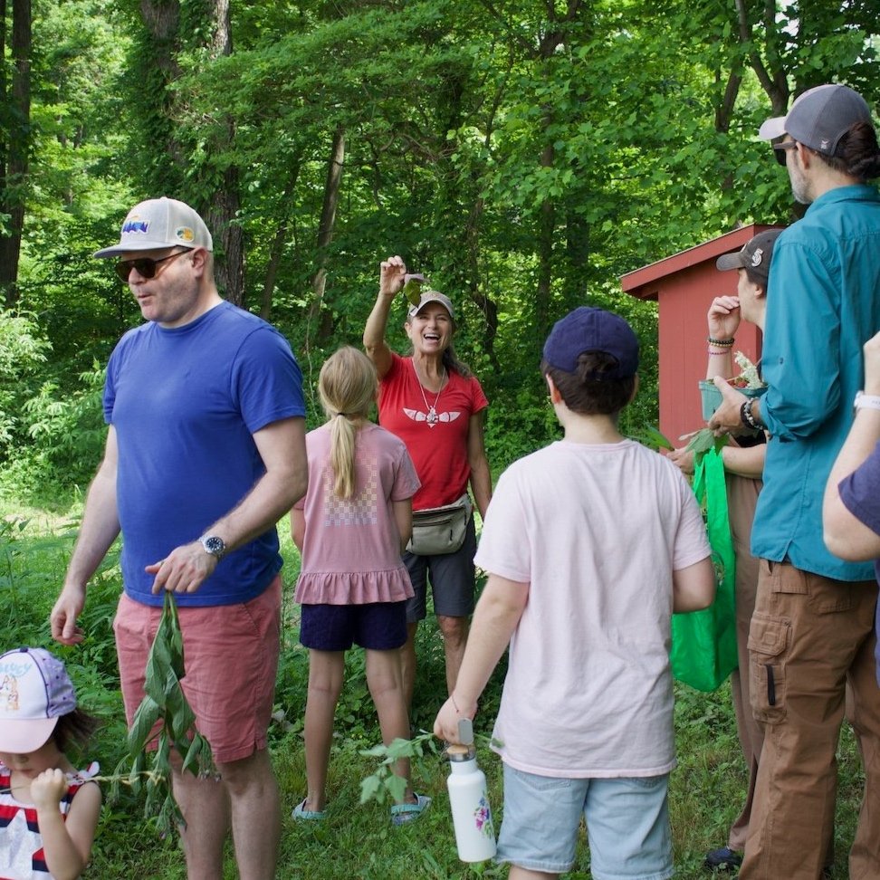 Berries and Wild Foraging Nature Walk