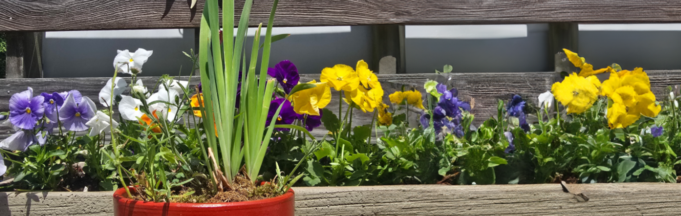 Pride in our Pollinators Workshop