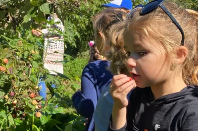 Pick Your Own Berries @ Honey's Harvest Farm