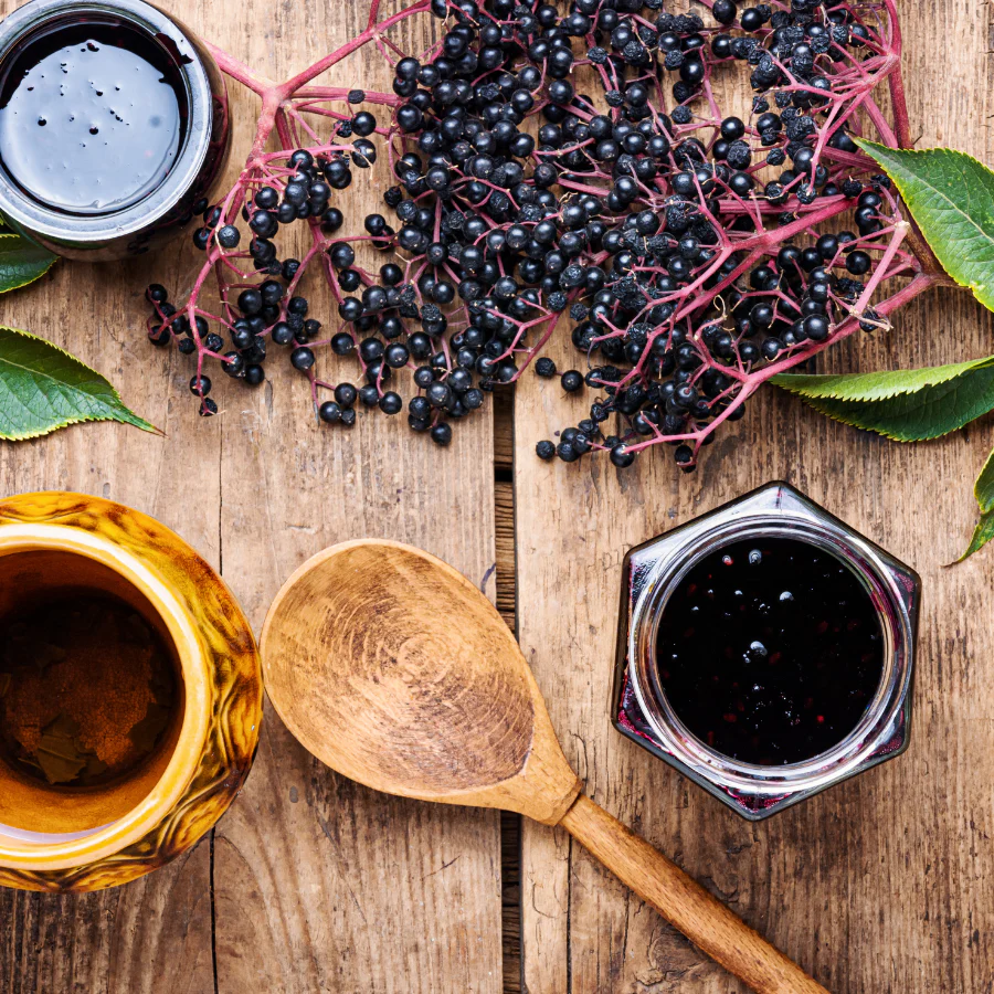 Elderberry Workshop