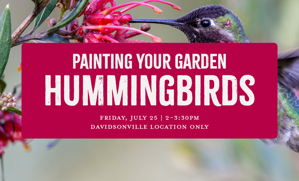 Painting Your Garden: Hummingbirds