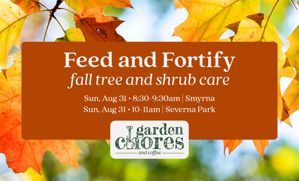 Feed & Fortify: Fall Tree & Shrub Care