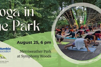 Yoga in the Park
