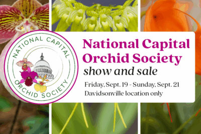 Annual Orchid Show & Sale