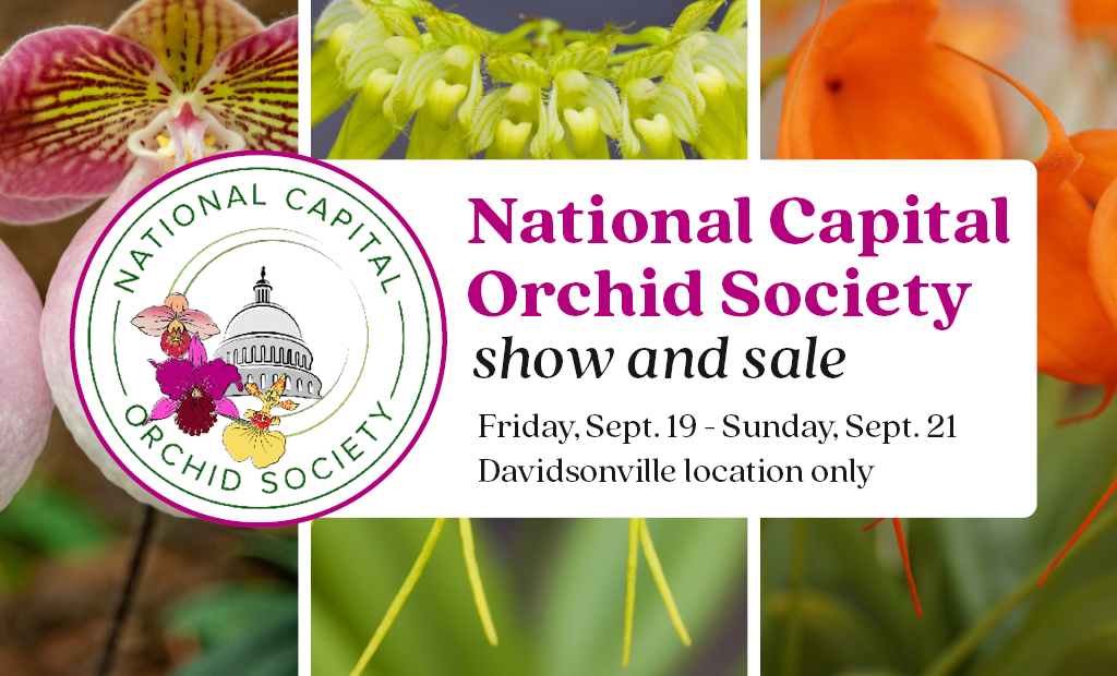 Annual Orchid Show & Sale