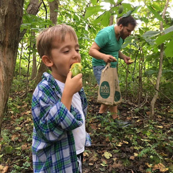 Pawpaw Hunt and Food Forest Walk