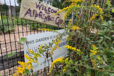 Planting with Purpose