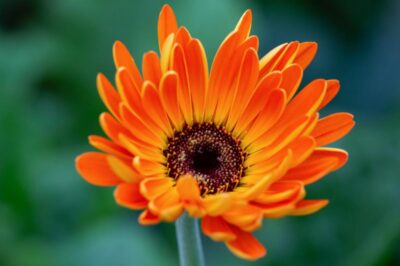 Social Security Webinar