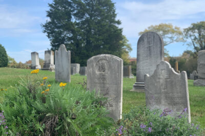 St Anne's Cemetery Tour