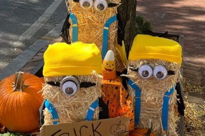 Annapolis Scarecrow Stroll