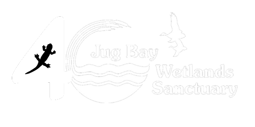 A Native American Heritage Month Lecture & Hike