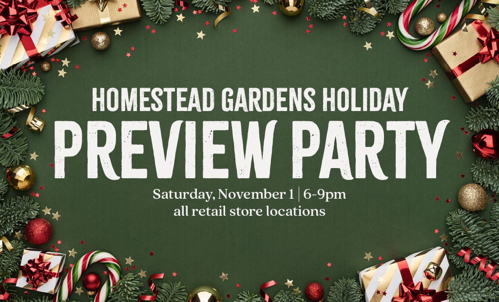 Holiday Preview Party