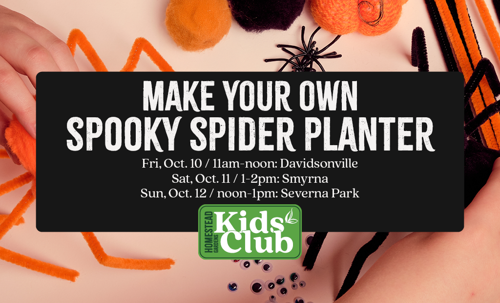 Make Your Own Spooky Spider Planter